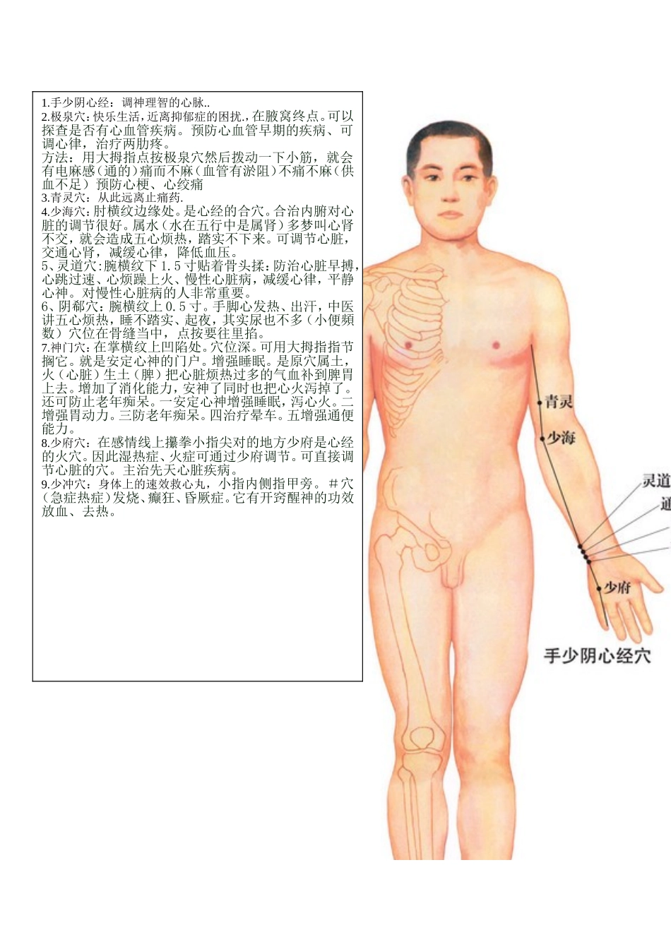 全身14经络示范图_第3页