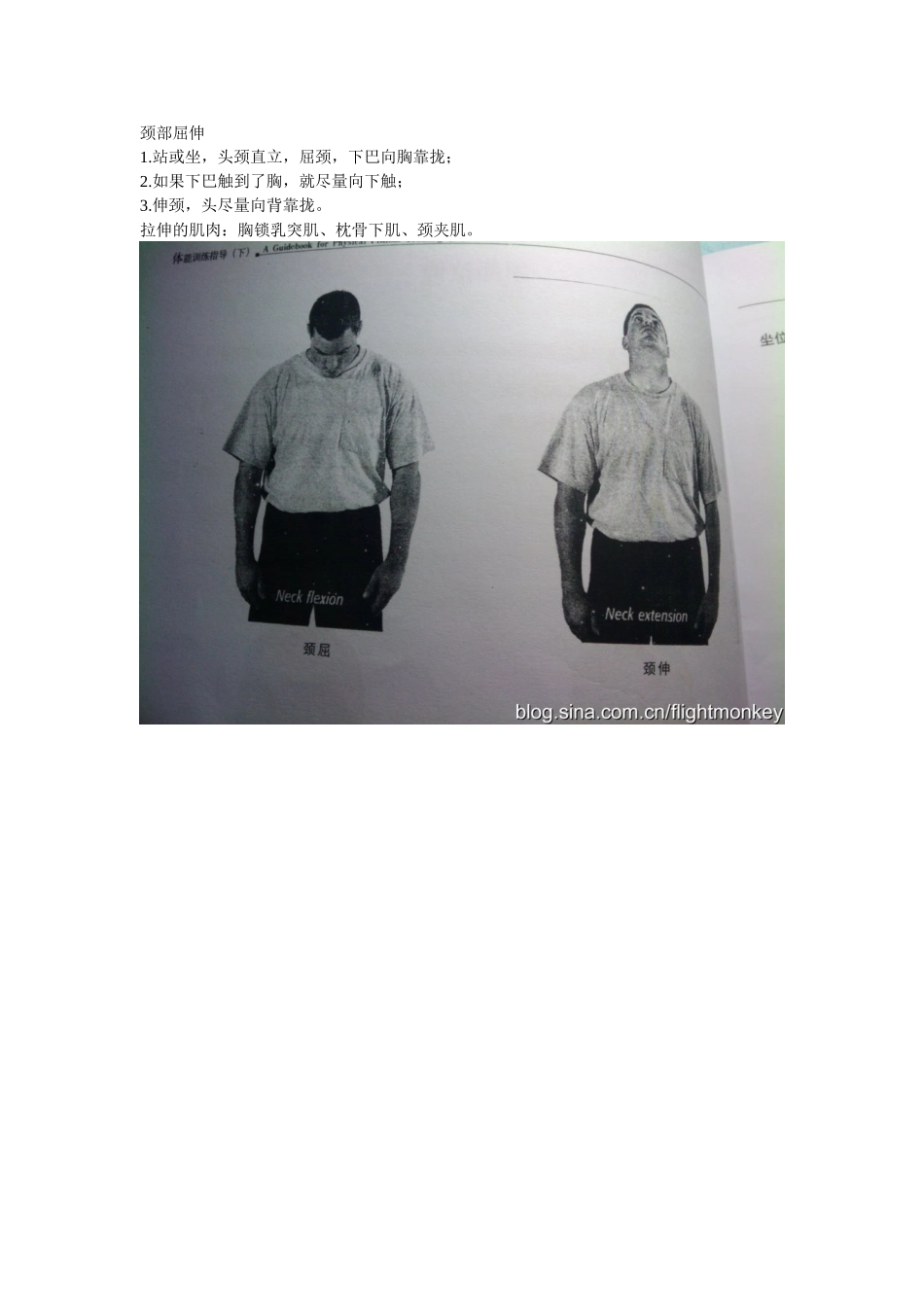 全身各主要肌群的拉伸方法_第2页