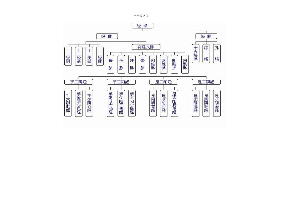 全身经络示范图汇集(-打印版)_第1页