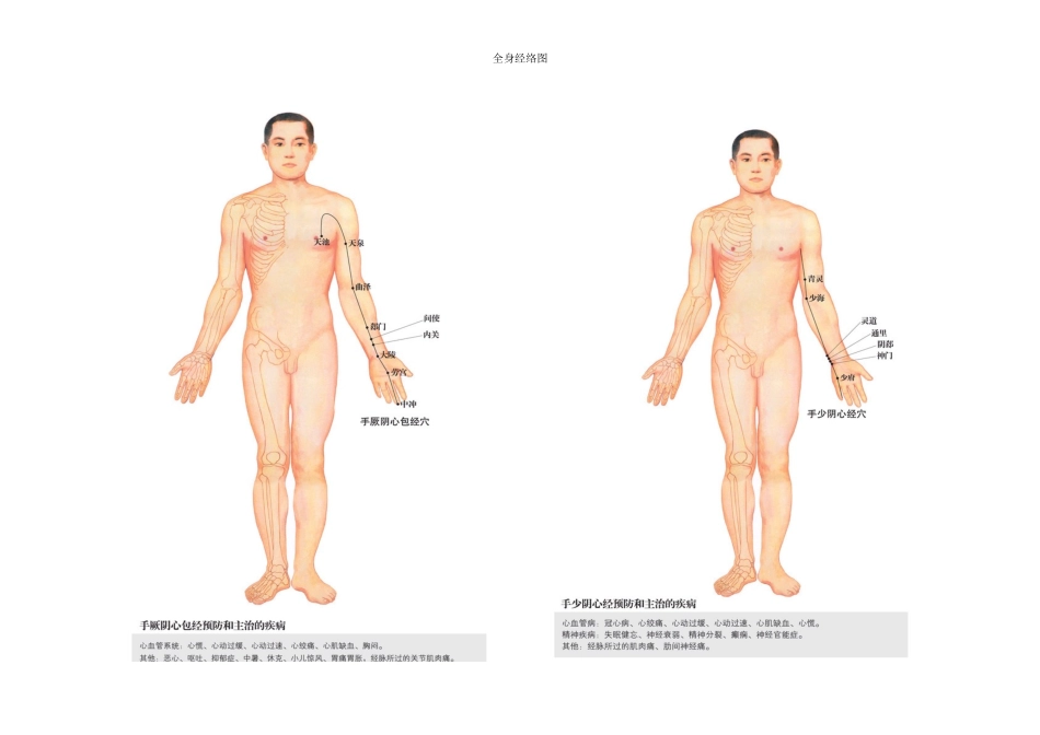 全身经络示范图汇集(-打印版)_第2页