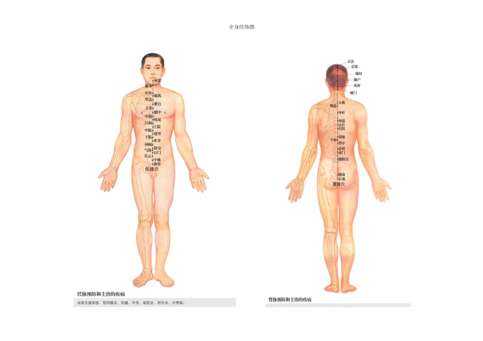 全身经络示范图汇集(-打印版)_第3页