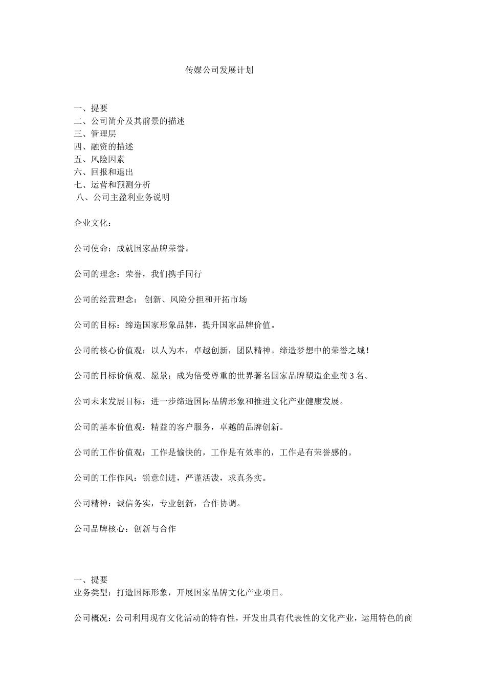 传媒公司商业发展计划_第1页