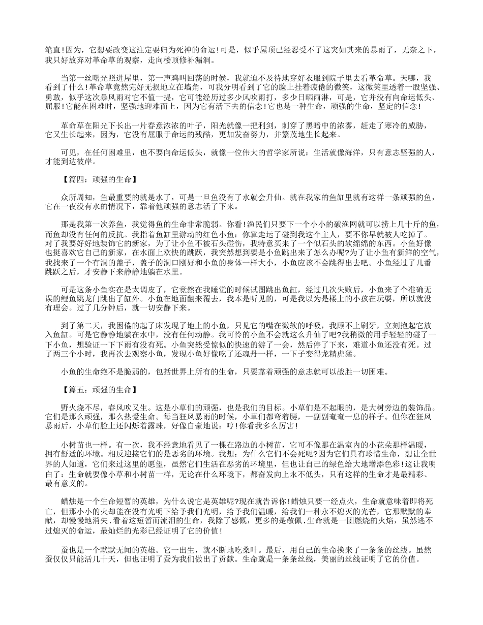 六年级作文：顽强的生命600字八篇_第2页