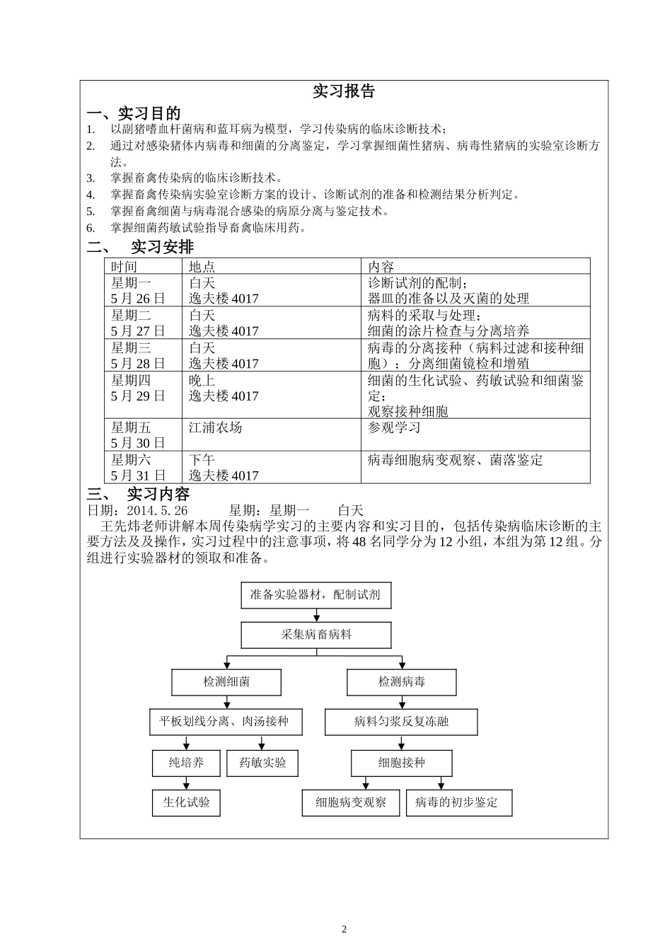 传染病-实习报告_第3页