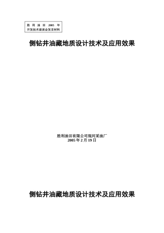 侧钻地质设计