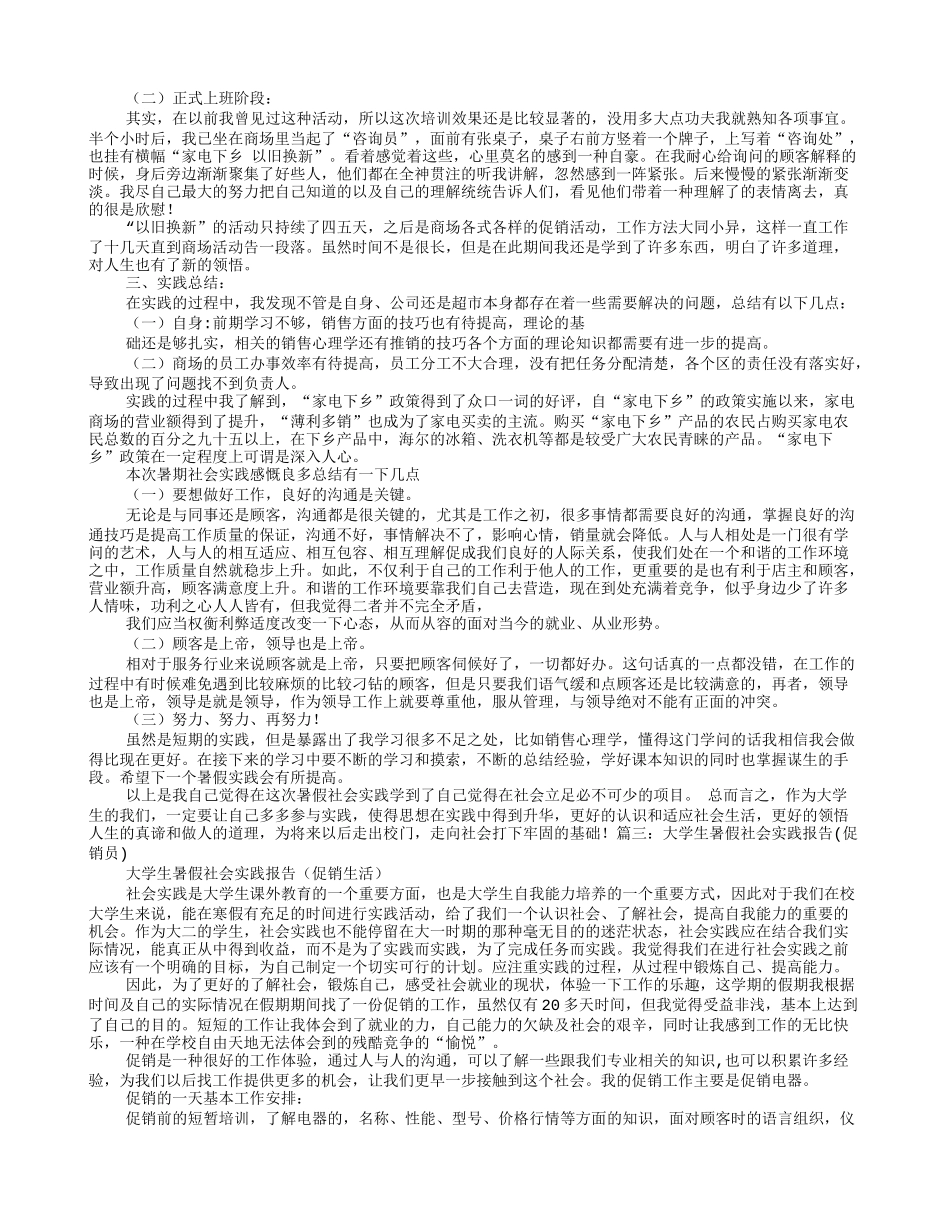 促销员暑假社会实践报告3000字_第3页