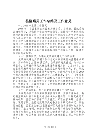 县监察局工作总结及工作意见