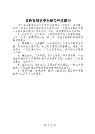 县教育局党委书记公开承诺书