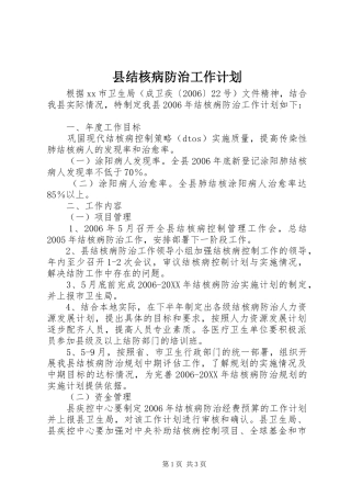 县结核病防治工作计划