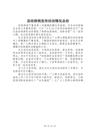 县结核病宣传活动情况总结