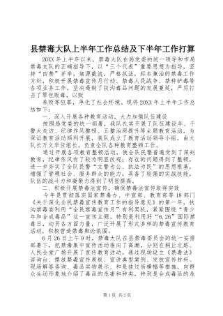 县禁毒大队上半年工作总结及下半年工作打算
