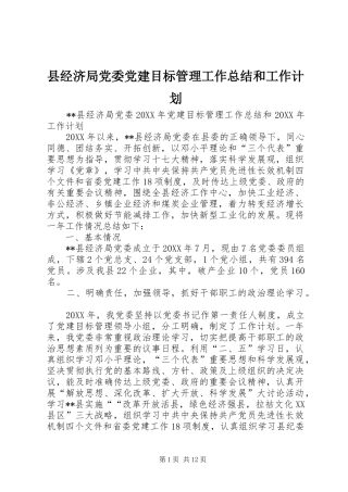 县经济局党委党建目标管理工作总结和工作计划