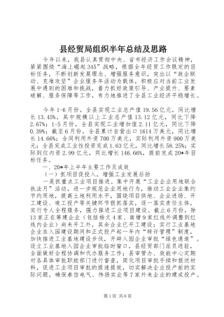 县经贸局组织半年总结及思路