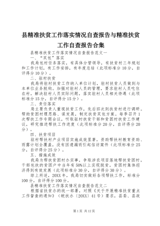 县精准扶贫工作落实情况自查报告与精准扶贫工作自查报告合集