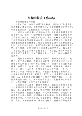 县精准扶贫工作总结