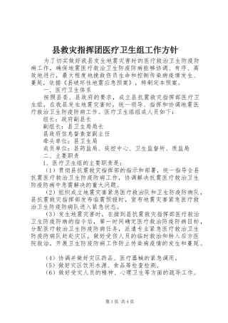 县救灾指挥团医疗卫生组工作方针