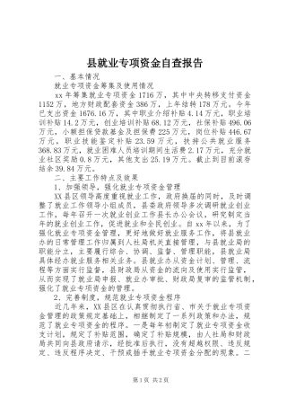 县就业专项资金自查报告