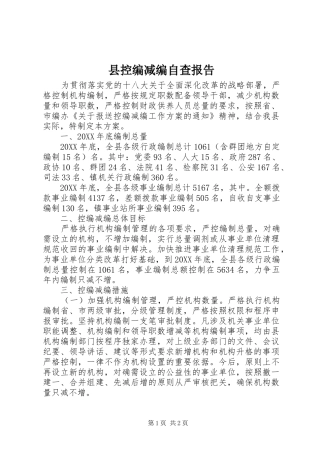 县控编减编自查报告