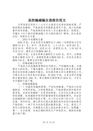 县控编减编自查报告范文