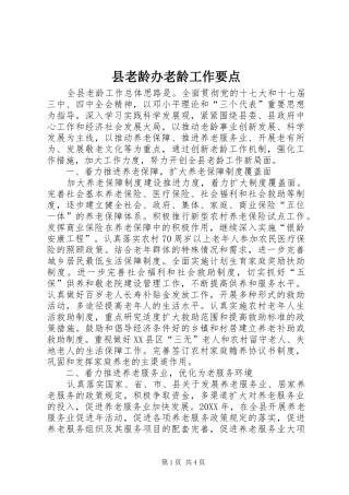 县老龄办老龄工作要点