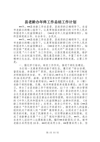 县老龄办年终工作总结工作计划