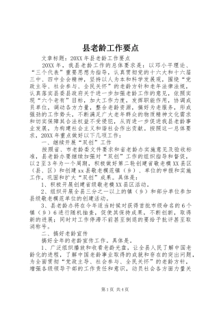 县老龄工作要点