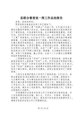 县联合督查室一周工作总结报告