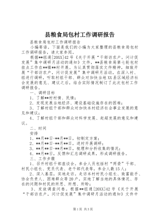 县粮食局包村工作调研报告