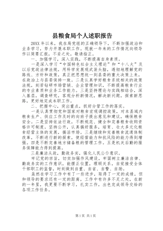 县粮食局个人述职报告