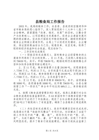 县粮食局工作报告