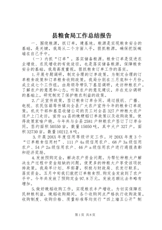 县粮食局工作总结报告