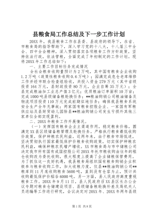 县粮食局工作总结及下一步工作计划
