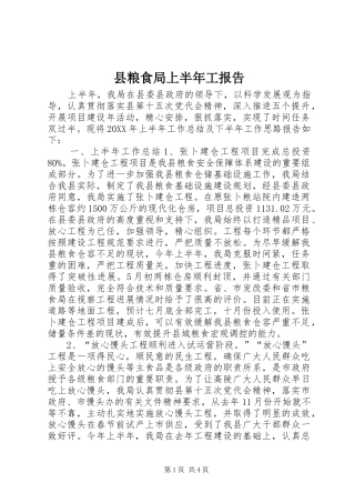 县粮食局上半年工报告