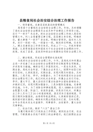 县粮食局社会治安综合治理工作报告