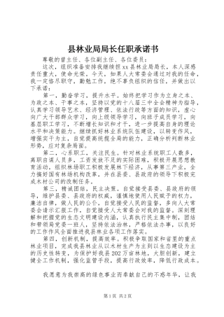 县林业局局长任职承诺书