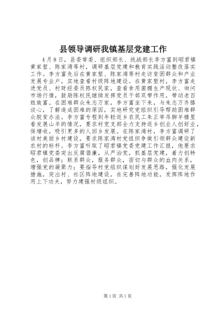 县领导调研我镇基层党建工作