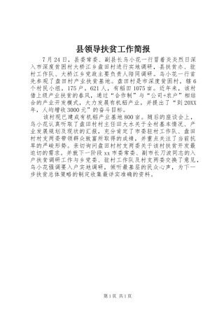 县领导扶贫工作简报