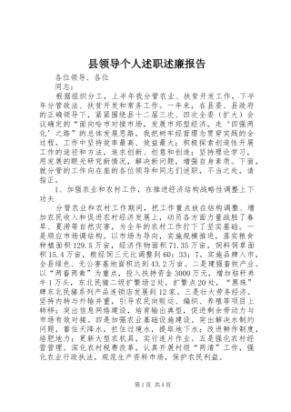 县领导个人述职述廉报告