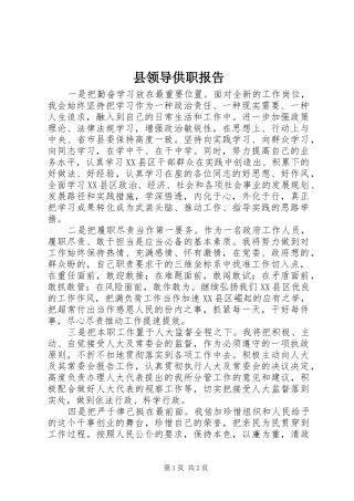 县领导供职报告