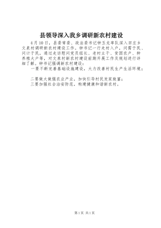 县领导深入我乡调研新农村建设