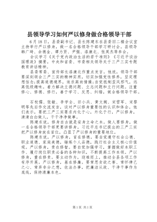 县领导学习如何严以修身做合格领导干部
