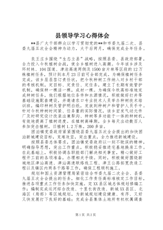 县领导学习心得体会