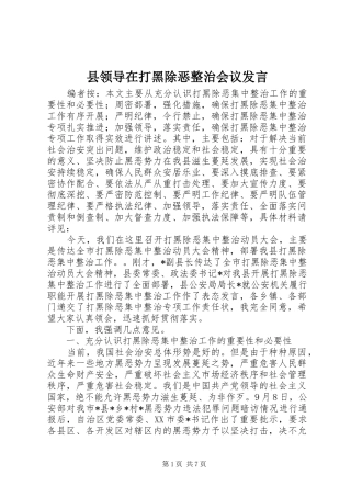 县领导在打黑除恶整治会议讲话