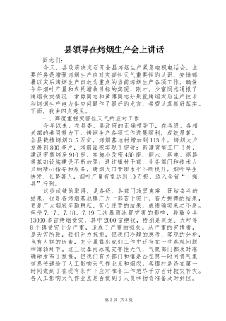 县领导在烤烟生产会上致辞