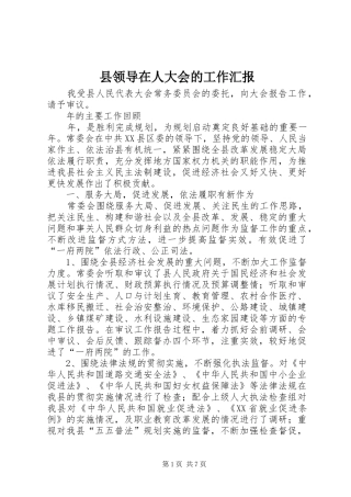 县领导在人大会的工作汇报