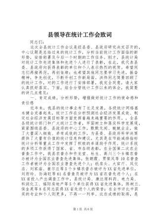 县领导在统计工作会致词