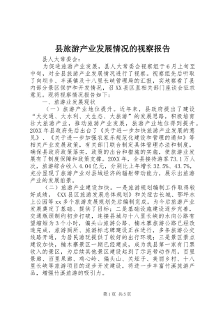 县旅游产业发展情况的视察报告