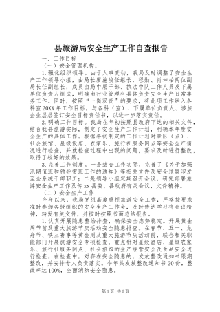 县旅游局安全生产工作自查报告