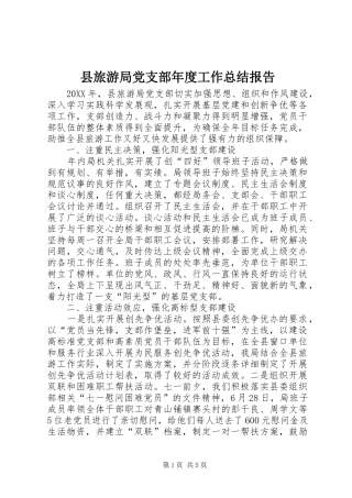 县旅游局党支部年度工作总结报告