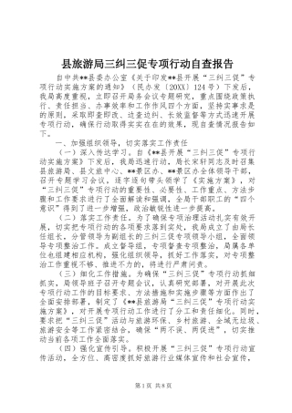 县旅游局三纠三促专项行动自查报告